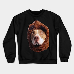 Brown Dog Lovers Psychology- cool Crewneck Sweatshirt